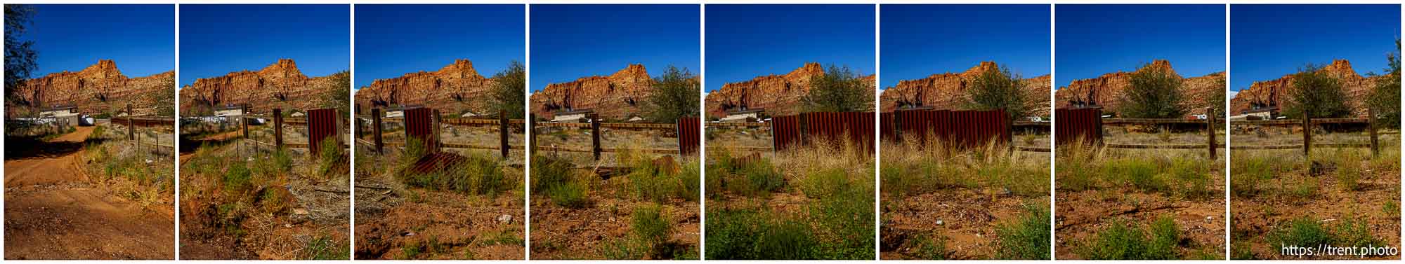 Polygamy in the American West