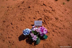 Marion David Steed. Carling cemetery on Friday, Sept. 5, 2025.