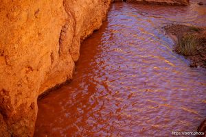 (Trent Nelson  |  The Salt Lake Tribune) The Virgin River on Tuesday September 16, 2025.