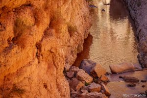 (Trent Nelson  |  The Salt Lake Tribune) The Virgin River on Tuesday September 16, 2025.