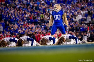 (Trent Nelson  |  The Salt Lake Tribune) Cosmo and the BYU Cougarettes as BYU hosts Utah, NCAA football at LaVell Edwards Stadium in Provo on Saturday, Oct. 18, 2025.