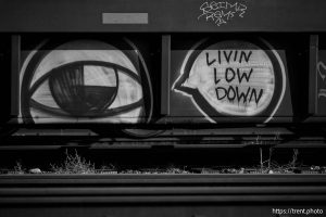 train graffiti, Livin Low Down, in Salt Lake City on Tuesday, Nov. 18, 2025.
