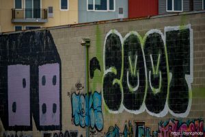 zoot in Salt Lake City on Friday, Dec. 26, 2025.