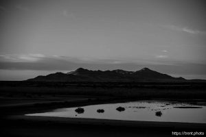 (Trent Nelson  |  The Salt Lake Tribune) The Great Salt Lake on Tuesday, Jan. 6, 2026. Antelope Island in the distance.