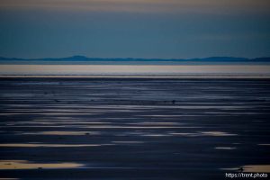 (Trent Nelson  |  The Salt Lake Tribune) The Great Salt Lake on Tuesday, Jan. 6, 2026.