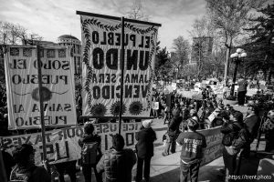 (Trent Nelson  |  The Salt Lake Tribune) An anti-ICE protest at City Hall in Salt Lake City on Friday, Jan. 30, 2026.