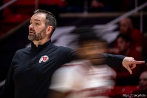 (Trent Nelson  |  The Salt Lake Tribune) Utah coach Alex Jensen as Utah hosts Arizona State, NCAA basketball in Salt Lake City on Wednesday, Feb. 4, 2026.