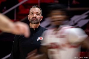 (Trent Nelson  |  The Salt Lake Tribune) Utah coach Alex Jensen as Utah hosts Arizona State, NCAA basketball in Salt Lake City on Wednesday, Feb. 4, 2026.