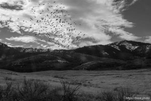 (Trent Nelson  |  The Salt Lake Tribune) The Clarkston Mountains on Friday, Feb. 6, 2026.