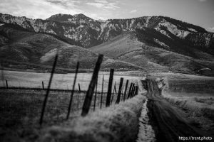 (Trent Nelson  |  The Salt Lake Tribune) A road leading to the Clarkston Mountains on Friday, Feb. 6, 2026.