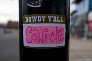 cowpoke, Tuesday February 10, 2026.