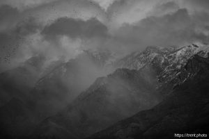 (Trent Nelson  |  The Salt Lake Tribune) Rain over Davis County, seen from the Great Salt Lake Shorelands Preserve on Tuesday, Feb. 17, 2026.