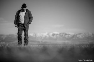 (Trent Nelson  |  The Salt Lake Tribune) Valjay Rigby, in a field his family farm grows hard red winter wheat, in Newton on Friday, Feb. 6, 2026.
