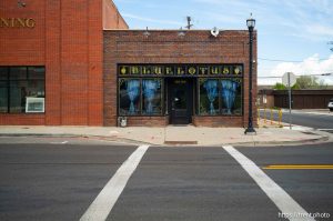 blue lotus, in Magna on Monday, April 13, 2026.